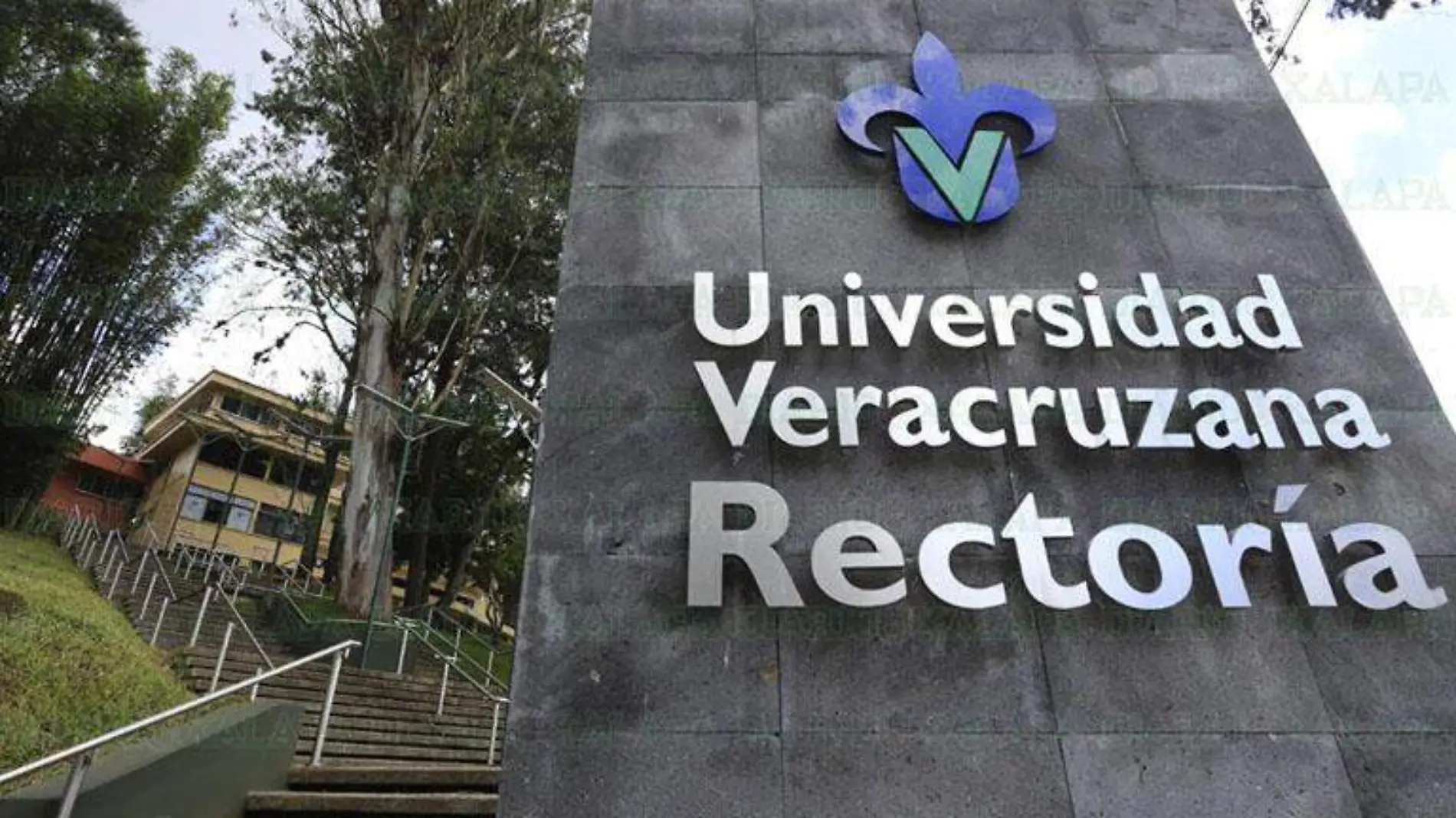 Universidad veracruzana